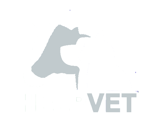 Helpvet-Transpa-OK.png