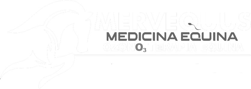 MERVEQUUS_-OK.png