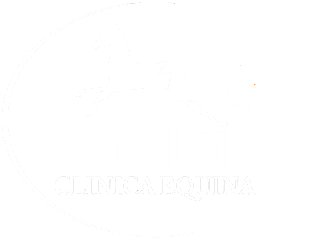 logo_san_luis-Ahoar-SI.png